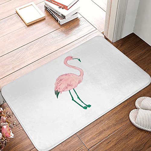 Handbemalte Fußmatte mit Flamingo-Vogel-Druck, weiche, rutschfeste Fußmatte für drinnen und draußen, Vordertür, Eingangsteppich, 40 x 60 cm